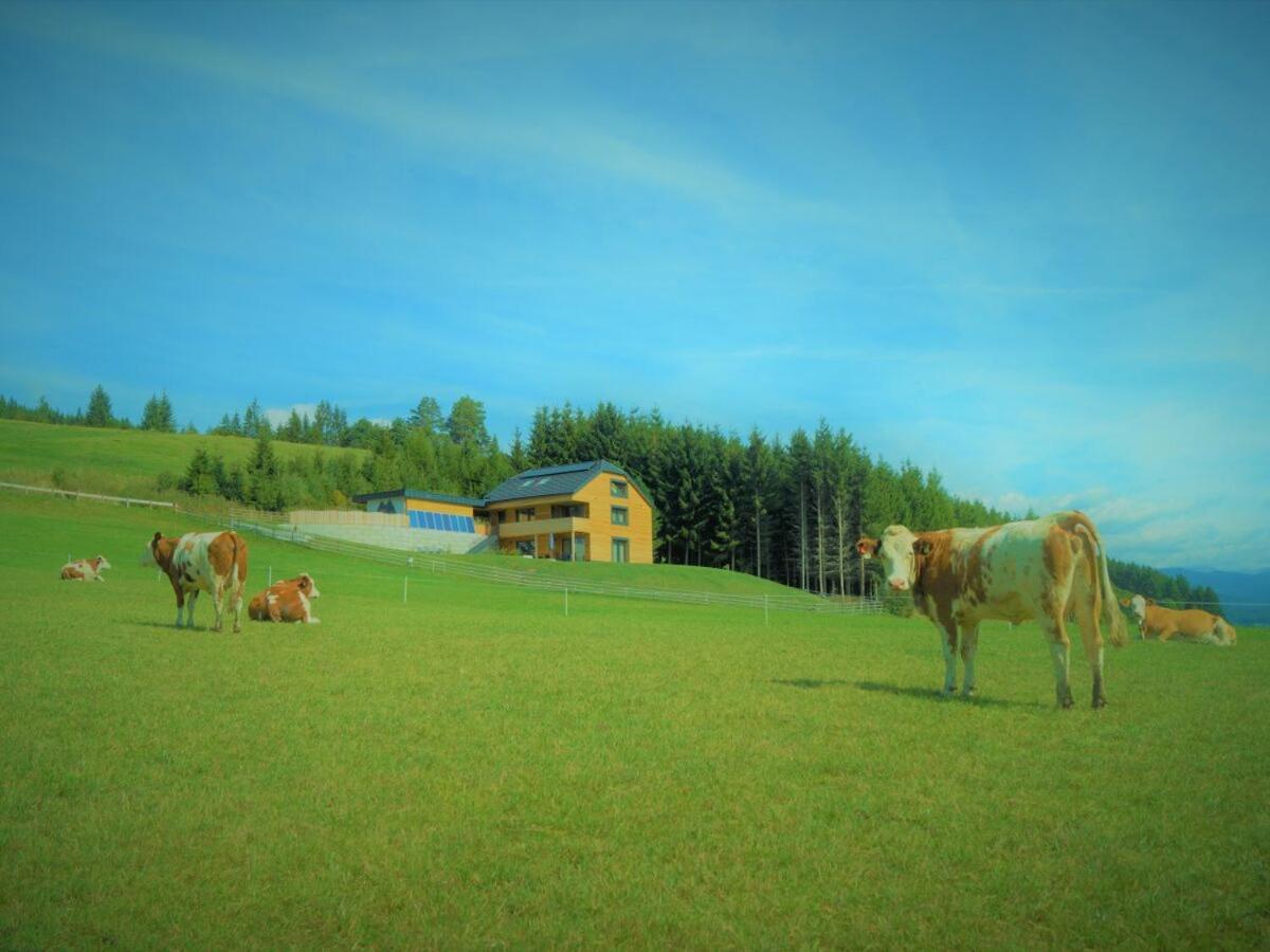 Chalet Traumblick Mauterndorf  Luaran gambar